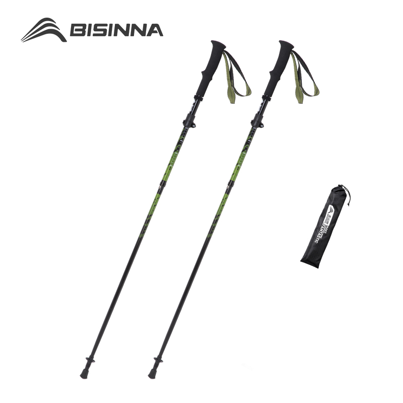 BISINNA Bastoncini da Trekking - Trekking Pole Carbon recensione e prezzo